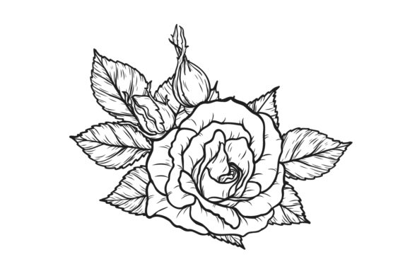 Rose Sublimation Graphics & Illustrations